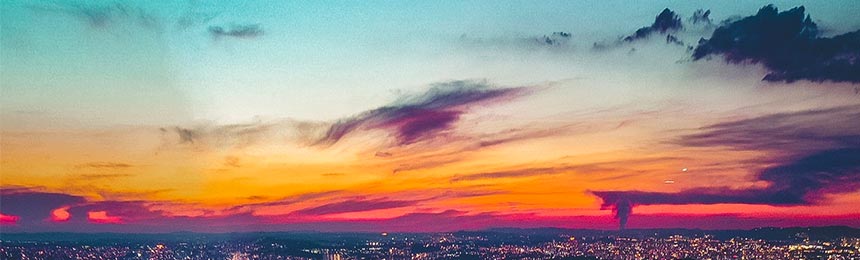 雅安茶虫网_雅安品茶